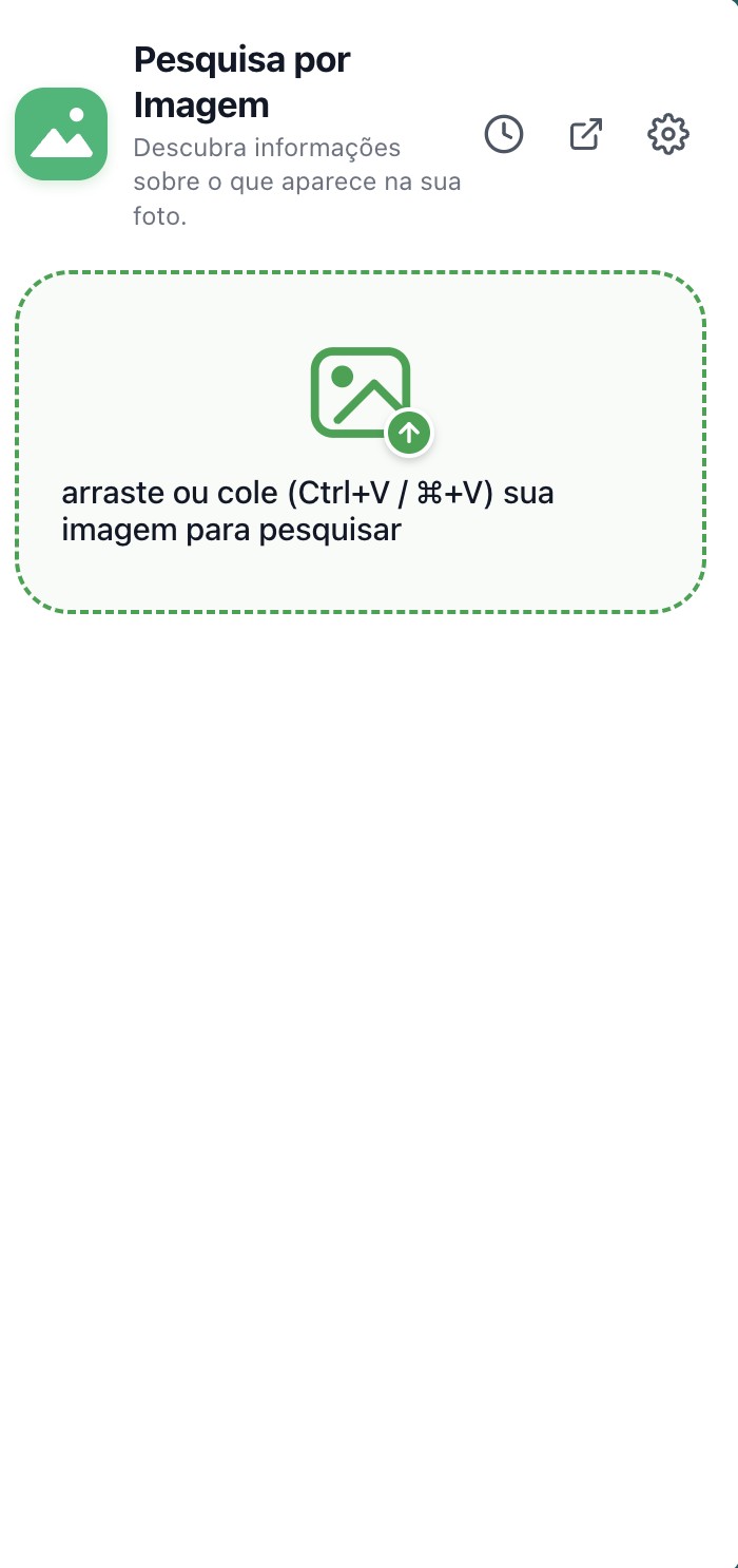 Tela inicial da extensão